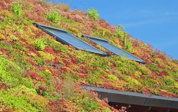 Windley living roof systems